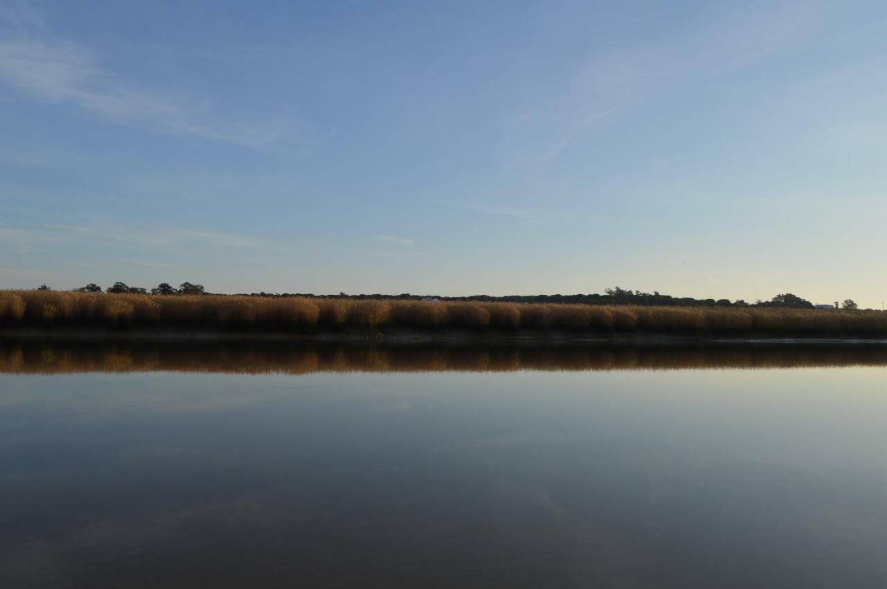 Alcacer River Apartment Alcácer do Sal المظهر الخارجي الصورة